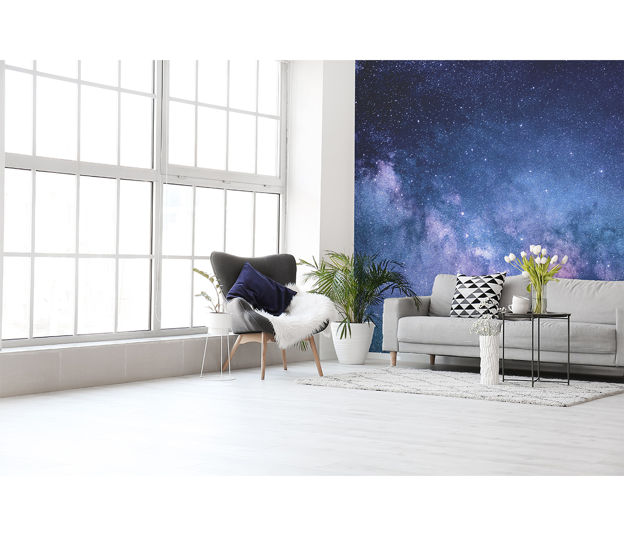 Galaxie Mléčná cesta